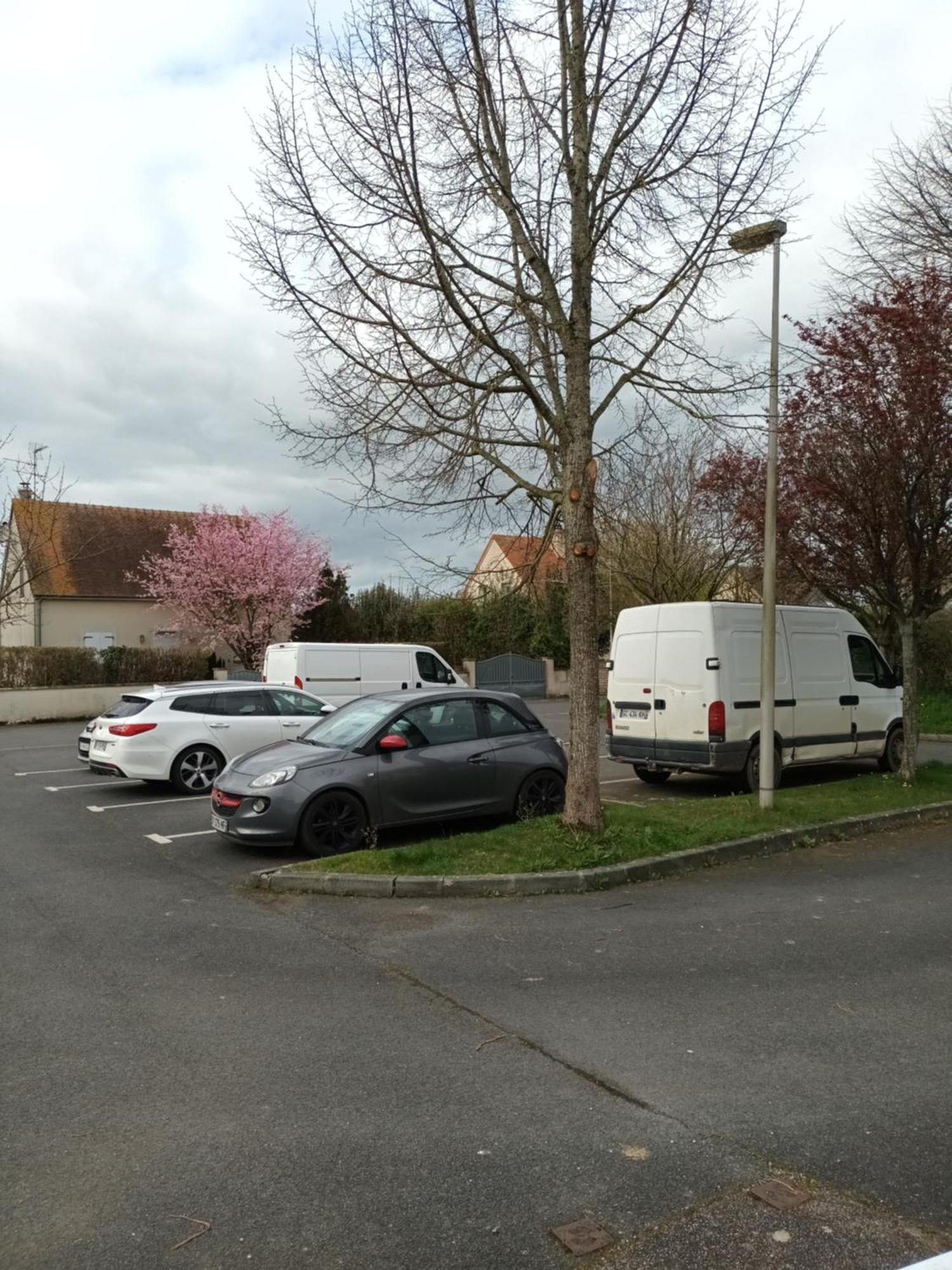 Appartement Tout Confort Le Fresne-Camilly Extérieur photo