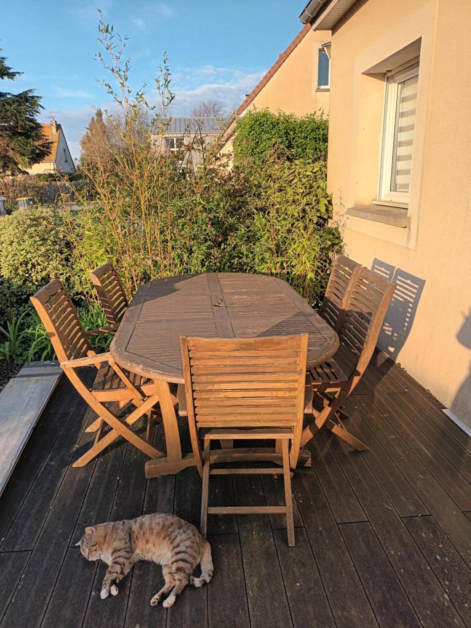 Appartement Tout Confort Le Fresne-Camilly Extérieur photo